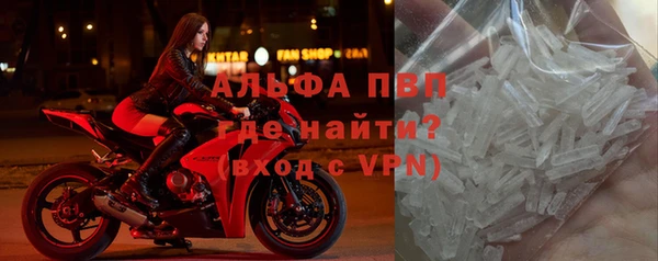 ГАЛЛЮЦИНОГЕННЫЕ ГРИБЫ Касимов