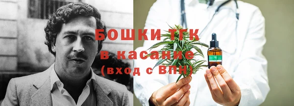 гидропоника Карпинск