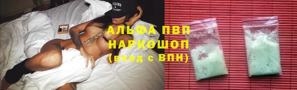 ГАЛЛЮЦИНОГЕННЫЕ ГРИБЫ Касимов